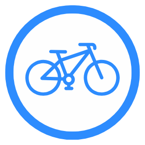Icon 1